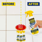 Floor and Toilet Cleaning Spray! | BUY 1 GET 1 FREE