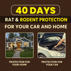 Rat Repellent Spray | BUY 1 GET 2 FREE!!!