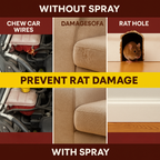 Rat Repellent Spray | BUY 1 GET 2 FREE!!!